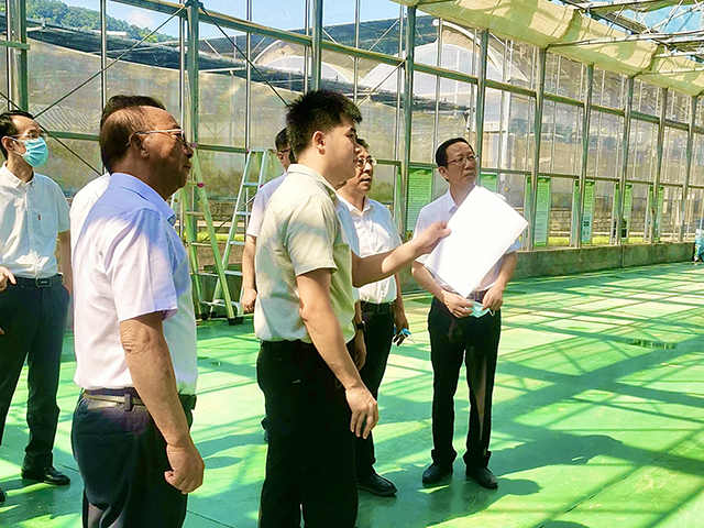 李建成副省長和謝華安院士等領導調研萬賓水稻表型分析平臺(圖1) 李建成副省長和謝華安院士等領導調研萬賓水稻表型分析平臺(圖1)