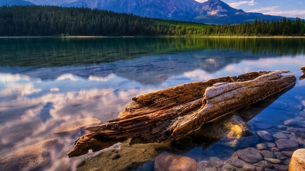 萬賓科技水環境綜合治理監測系統，聚力改善水環境提升(圖2)