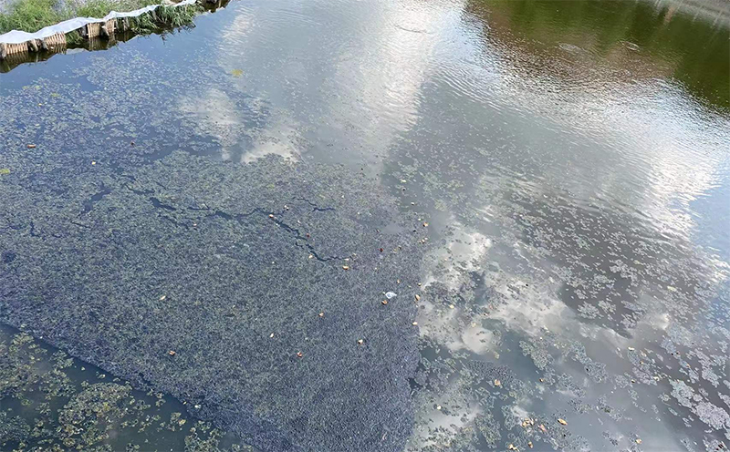 萬賓智能監測產品應用于廈門埭頭溪流域綜合治理智慧平臺項目(圖3) 萬賓智能監測產品應用于廈門埭頭溪流域綜合治理智慧平臺項目(圖3)